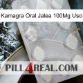 Kamagra Oral Jelly 100Mg Use 16